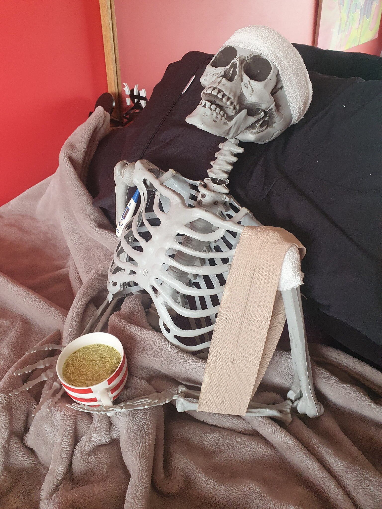 Murray the Skeleton undergoes reconstructive surgery after 'senseless ...