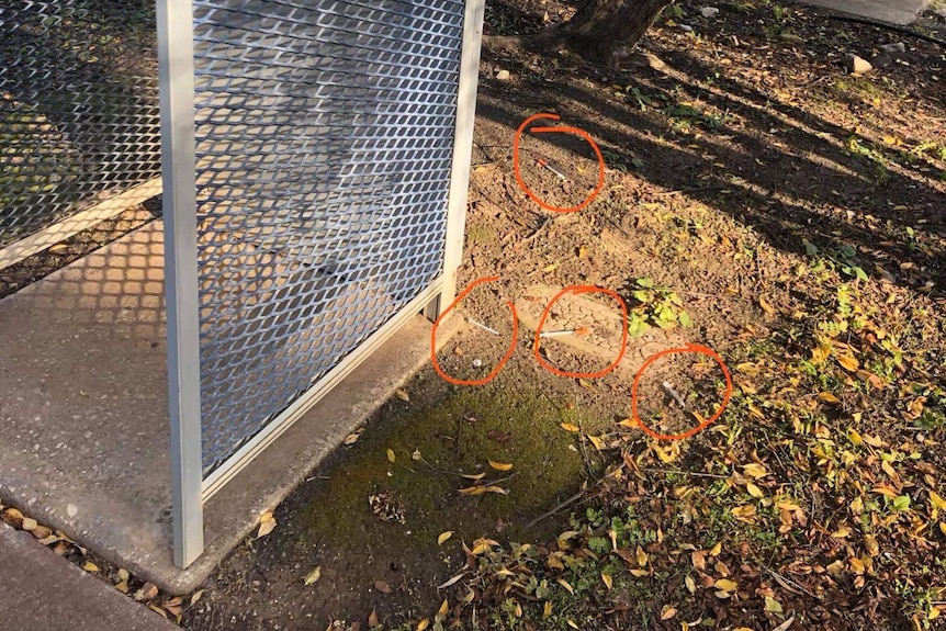 A phone box with needles circled on the ground