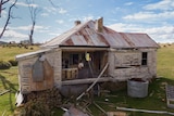 Two people stand in kitchen of house missing wall