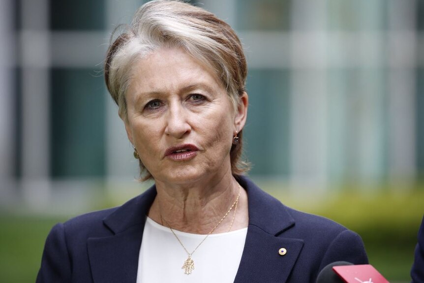 Dr Kerryn Phelps stares at the camera