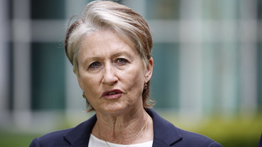 Dr Kerryn Phelps stares at the camera