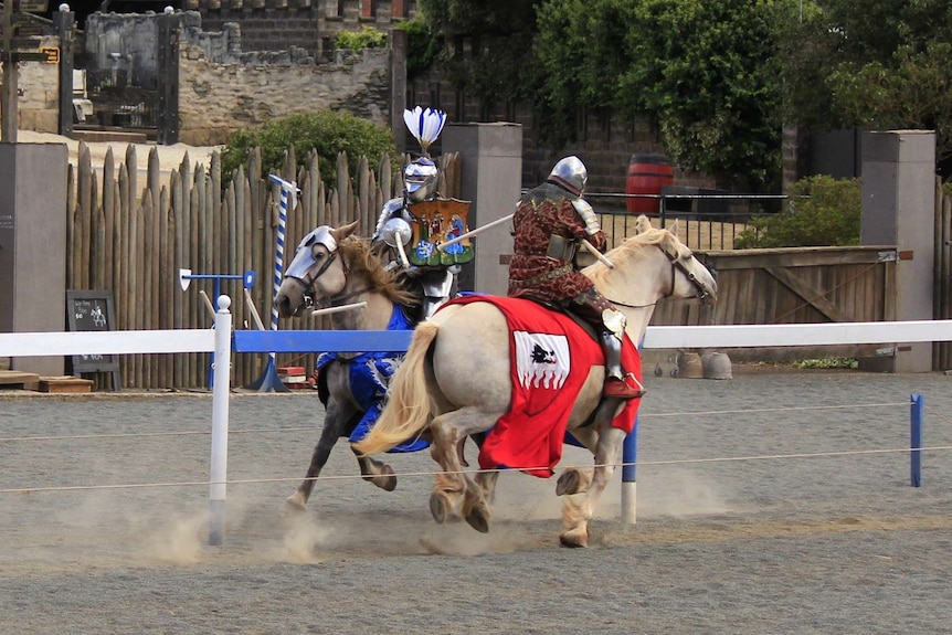 Action photo of a jousting event