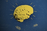 An illustration of a brain in yellow over a blue spotty background. 