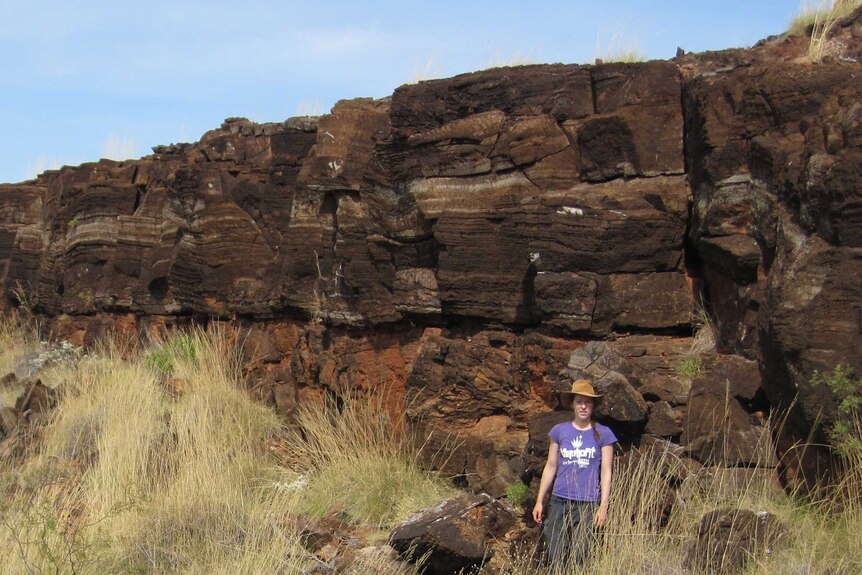Micrometeorite site in the Pilbara