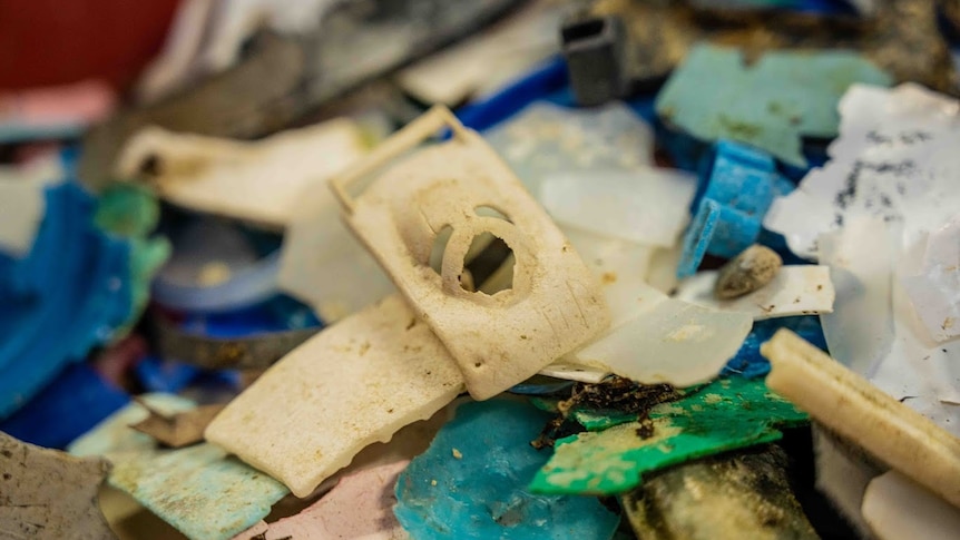 Close up of microplastics found on beach. 