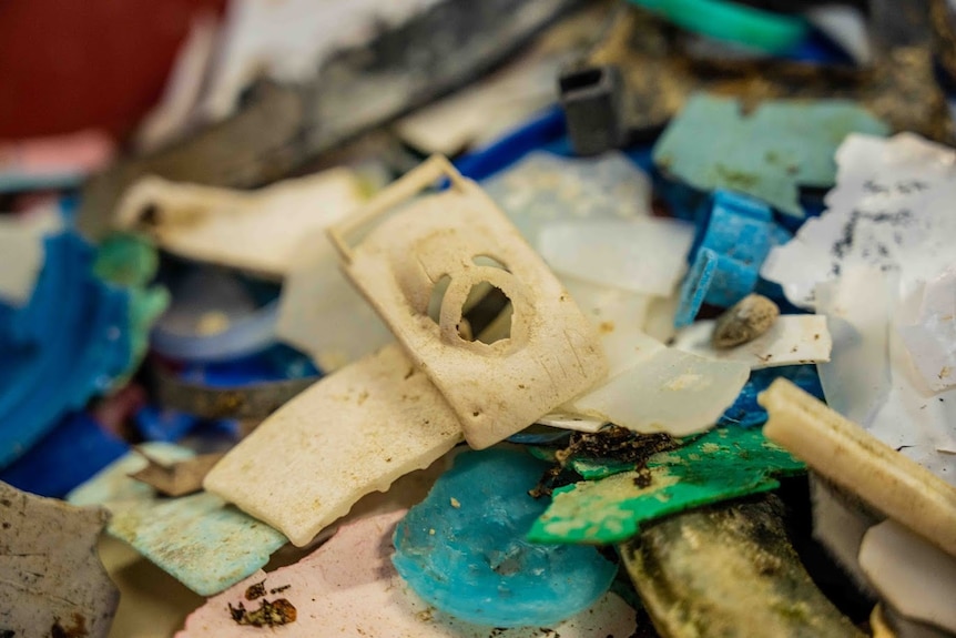 Close-up of microplastics found on the beach. 