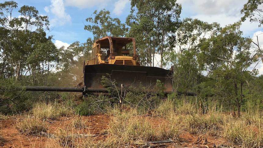 Land clearing in Queensland