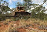 Land clearing in Queensland