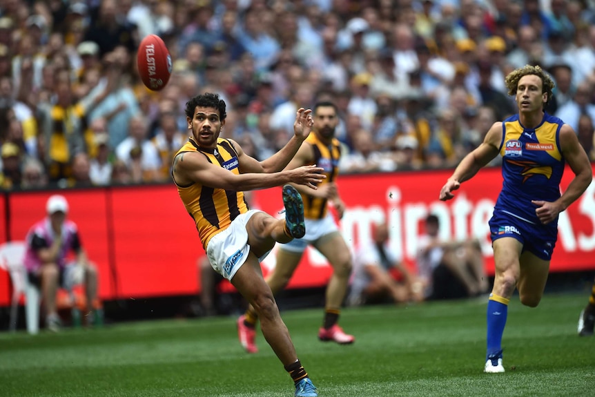 Cyril Rioli kicks Hawks' first goal