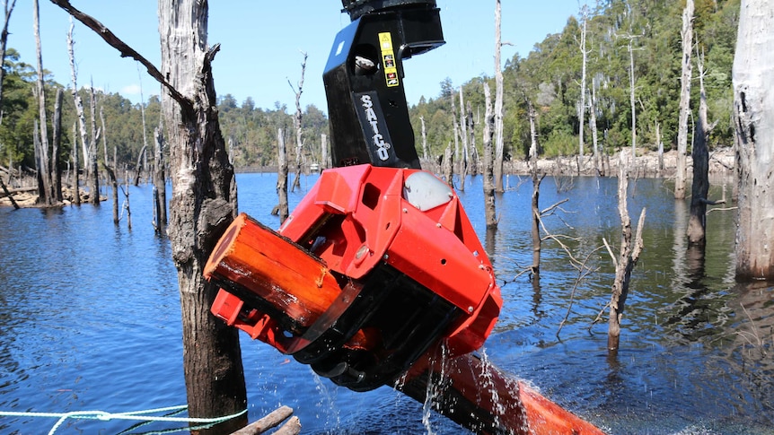 Harvester lifts a log from Lake Pieman