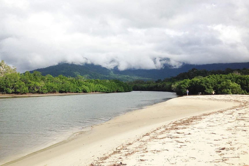 Cooper creek at Thornton Beach at Cape Tribulation.