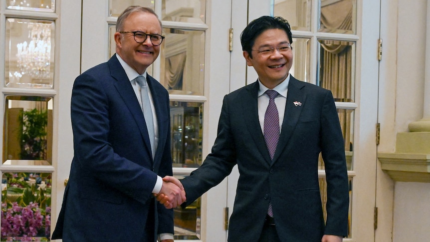 Anthony Albanese and Lawrence Wong pose for photos shaking hands. 
