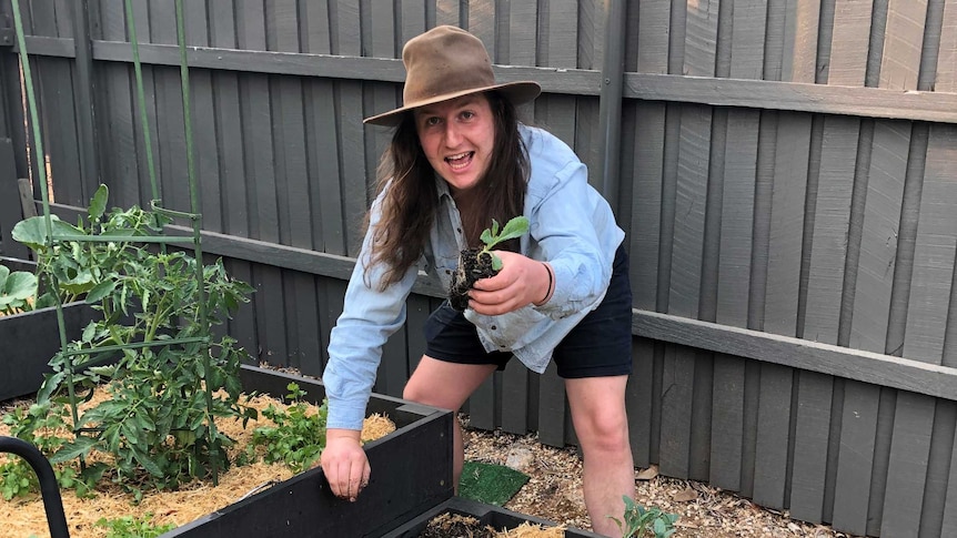 Canberra gardener Connor Lynch holds a seedling above a raised garden bed, he loves growing his own food.