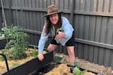 Canberra gardener Connor Lynch holds a seedling above a raised garden bed, he loves growing his own food.