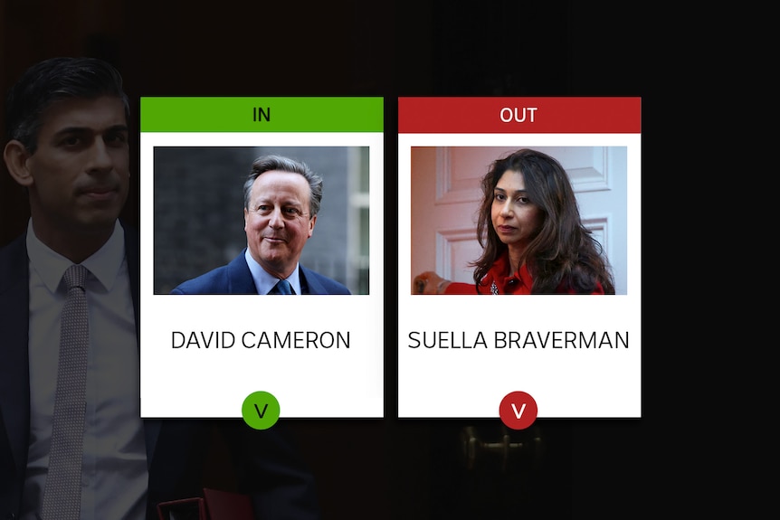 A green card with David Cameron's face on it that says "in" next to a red card of Suella Braverman saying "out."