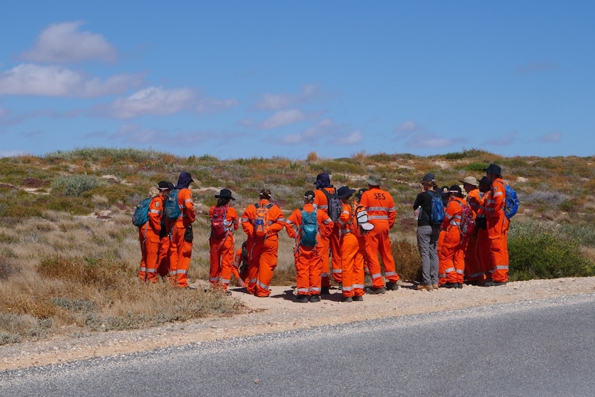 Peope in high-vis jumpsuits stand near a roadside.