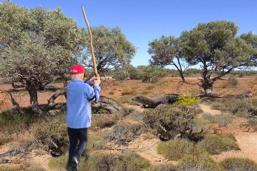 Boy in red cap and blue jumper running with a stick held high in Australian bush at large lizard near a tree