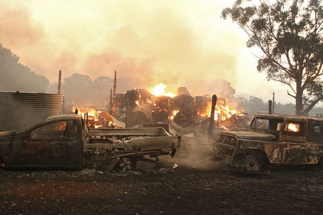 Vehicles and a shed destroyed
