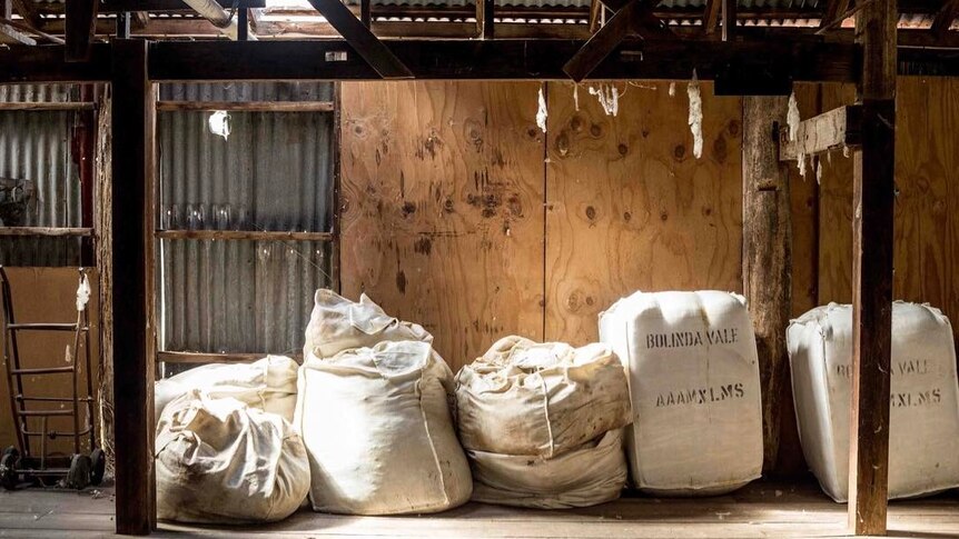 Wool sacks with sunlight shining through the roof, in a woolshed.