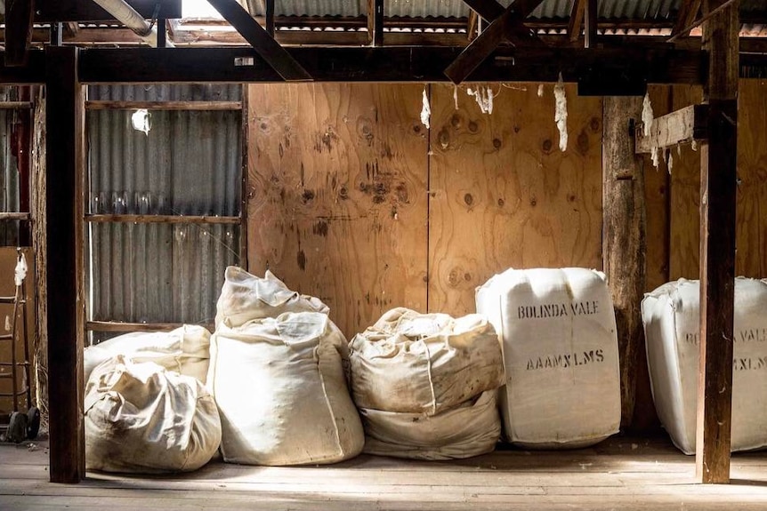 Wool sacks with sunlight shining through the roof, in a woolshed.
