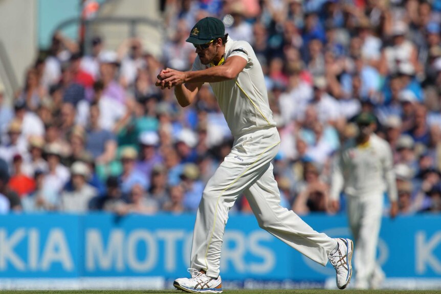 Australia's Mitchell Starc takes a catch to dismiss Mark Wood at The Oval.