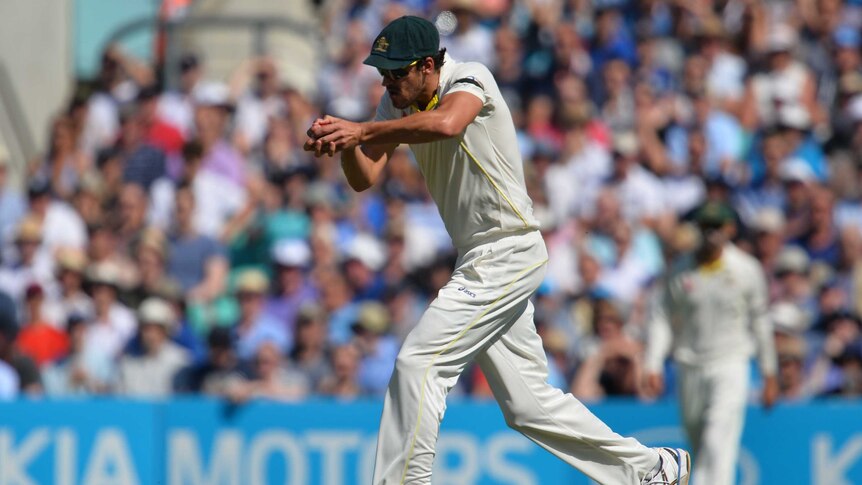 Australia's Mitchell Starc takes a catch to dismiss Mark Wood at The Oval.