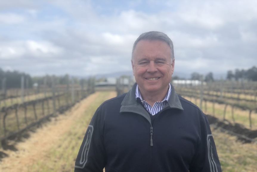 Man stands in vineyard