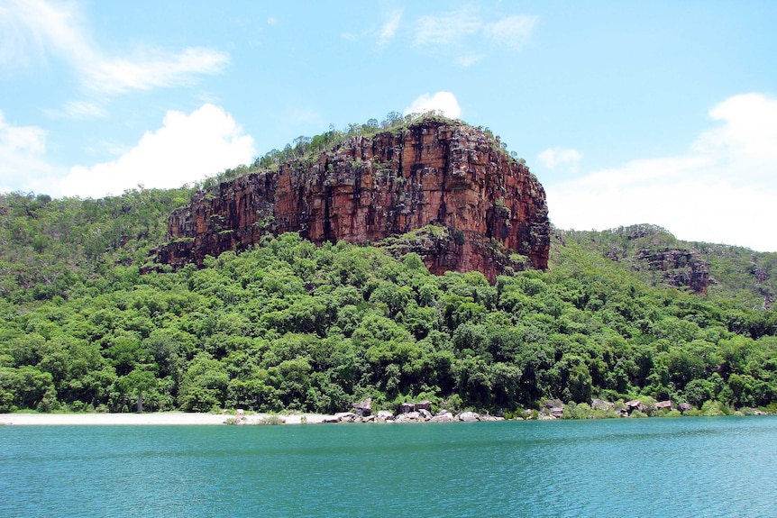 Image of tropical bushland spilling down a cliff face to a remote beach.