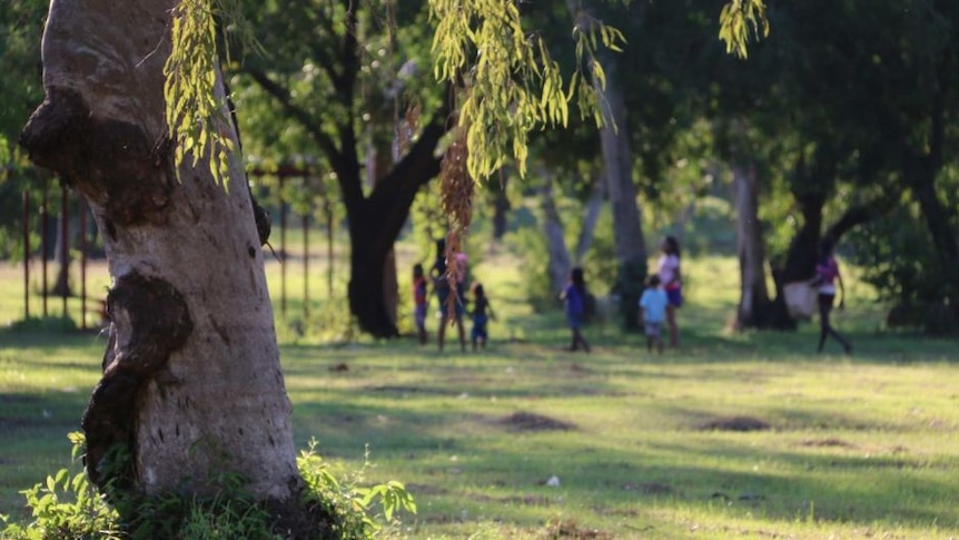 A close-up of a tree trunk with blurred Indigenous children in a field in the background.