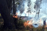 Bushfire south of Bicheno