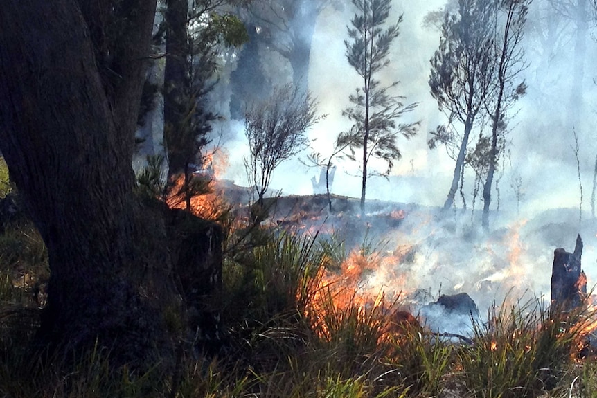 Bushfire south of Bicheno