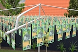 A Hills Hoist clothesline with hundred dollar bills on it