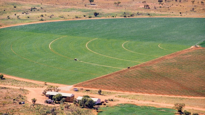 an aerial photos of irrigated hay grown using a centre pivot.