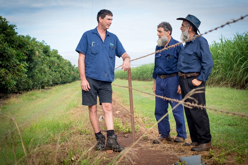 A tall Anglo-Saxon man speaks with two men of middle-eastern appearance across a barbed wire fence separating their farms.
