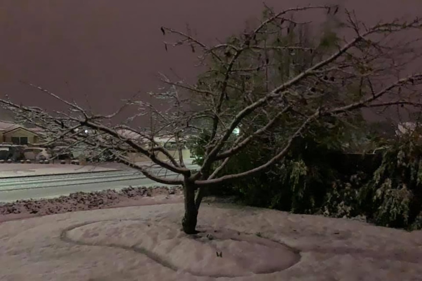 Snow blankets a front yard in Prospect, Tasmania.