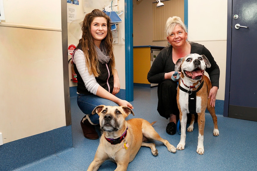 Bella McGrath and Dianne Davidson kneel down next to their dogs.