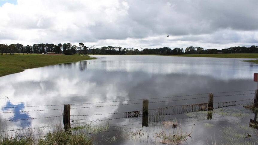 Flooded farm near Skipton, western Victoria(File photo)