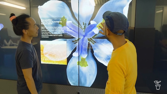 Two men standing in front of a large digital image of a blue flower on a glass wall