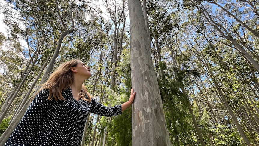 Close up of a woman touching a tree trunk looking up in a forest