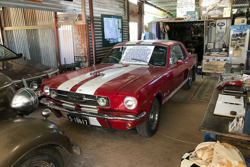 A 1965 Shelby Mustang