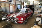 A 1965 Shelby Mustang
