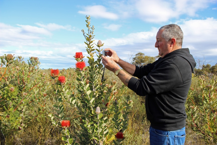 Terry Dunham documents native flora on Western Australia's south coast