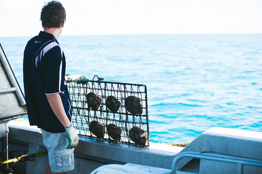 Man stands on boat facing the ocean holding cage of oyster shell