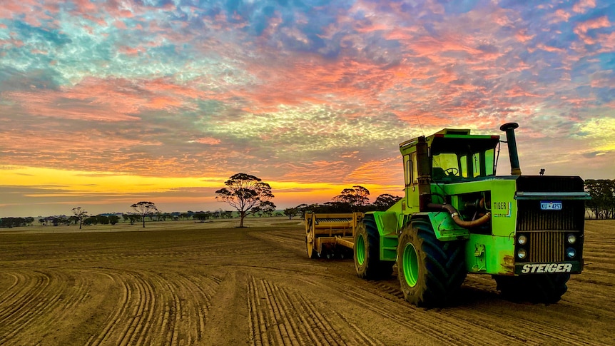 A green tractor on a seeded paddock with a sunset behind it 