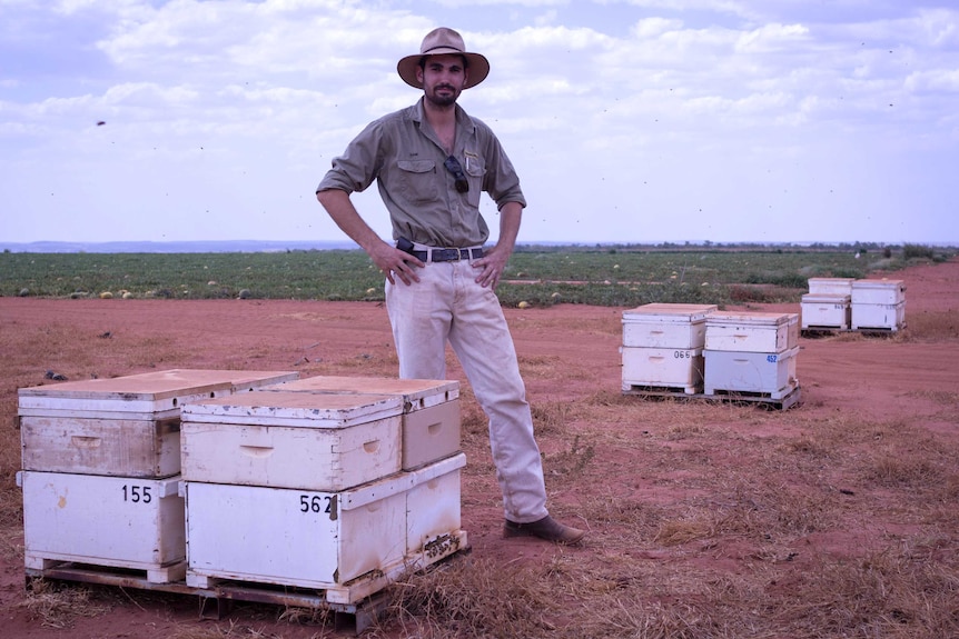 A man standing next to some beehives with a melon crop in the background.