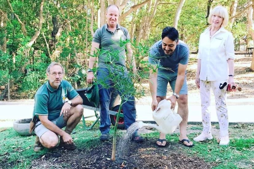Four people standing behind a newly planted tree. 