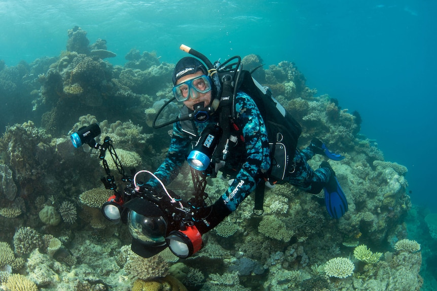 A man in diving equipment swims past a large formation of coral 