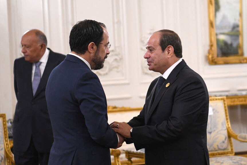 Egyptian President and Cypriot President shake hands 