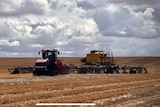 A tractor that's sowing barley moves through a paddock