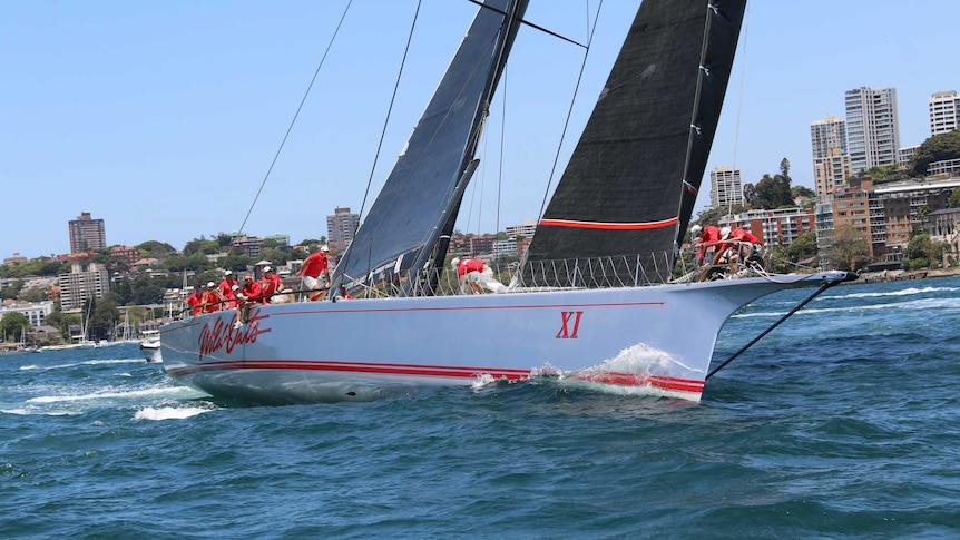 Wild Oats XI sailing on Sydney Harbour.